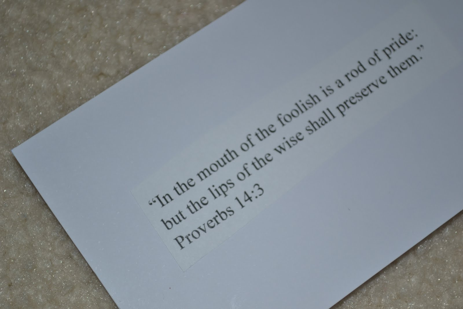 Proverbs 14:3